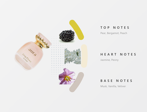 La Fede Aura Crisp Flower Perfume for Women – 100Ml fragrance notes - Top, Heart, Base